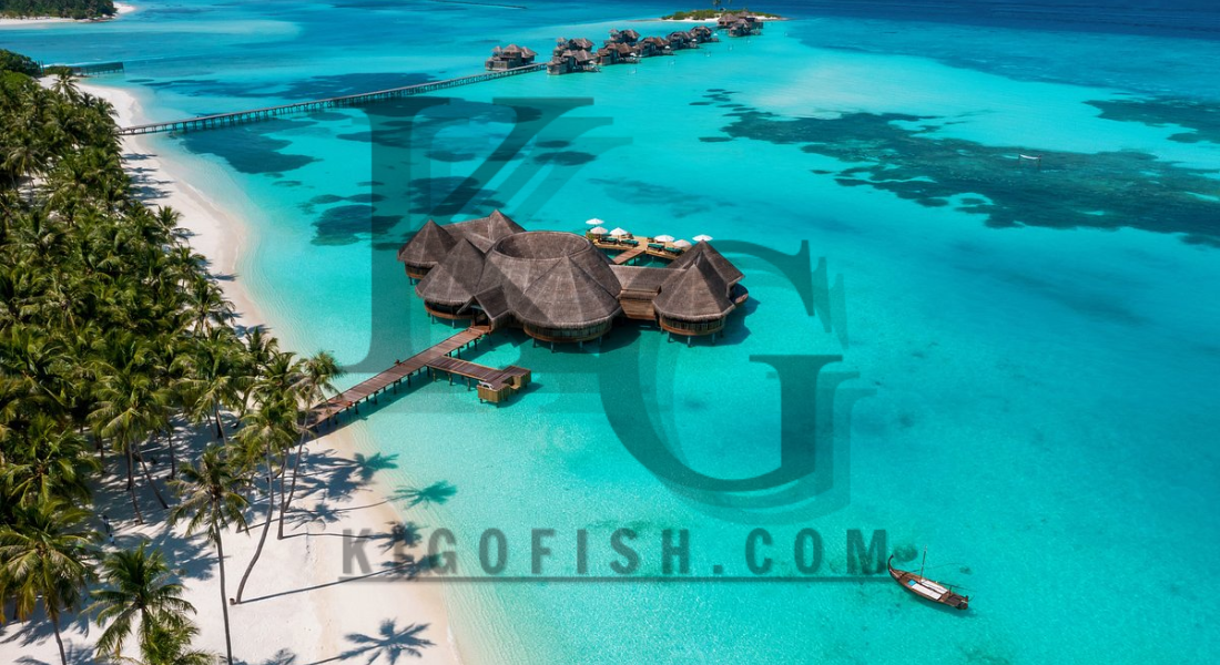 Gili Lankanfushi Maldives A Paradise Beyond Imagination